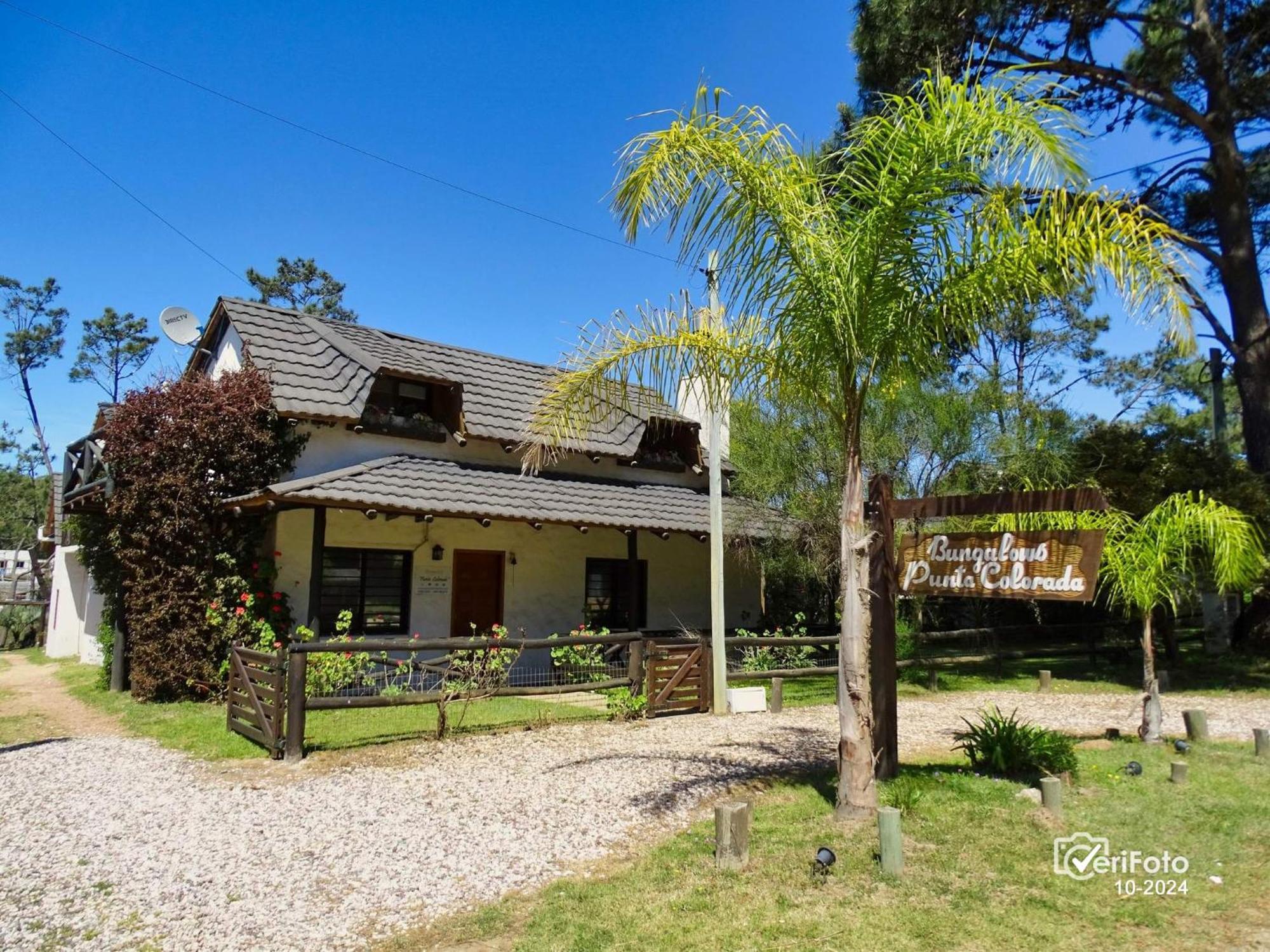 Piriápolis Bungalows Punta Colorada מראה חיצוני תמונה