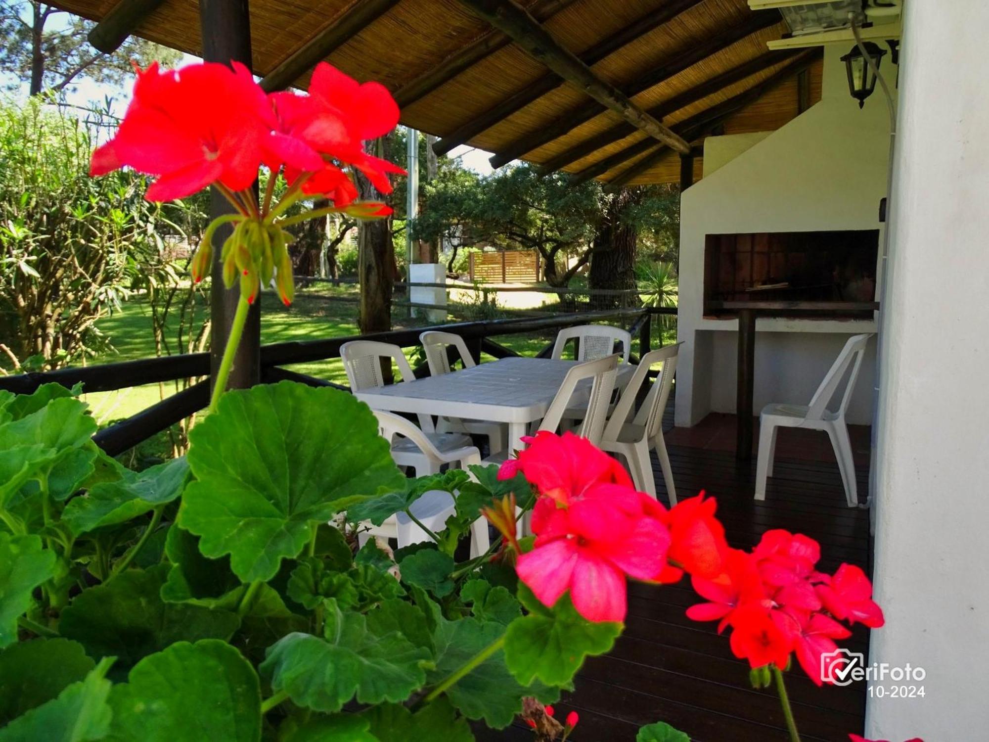 Piriápolis Bungalows Punta Colorada מראה חיצוני תמונה