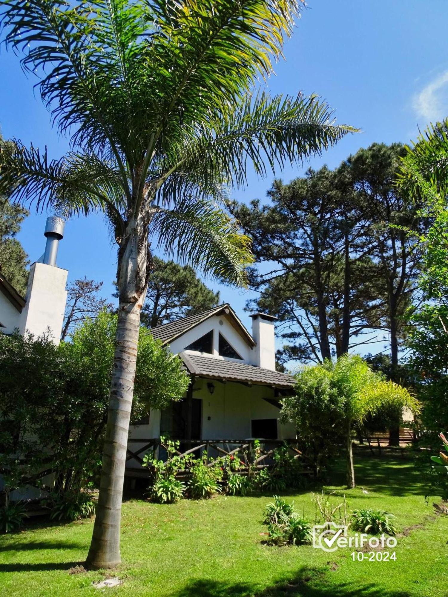 Piriápolis Bungalows Punta Colorada מראה חיצוני תמונה